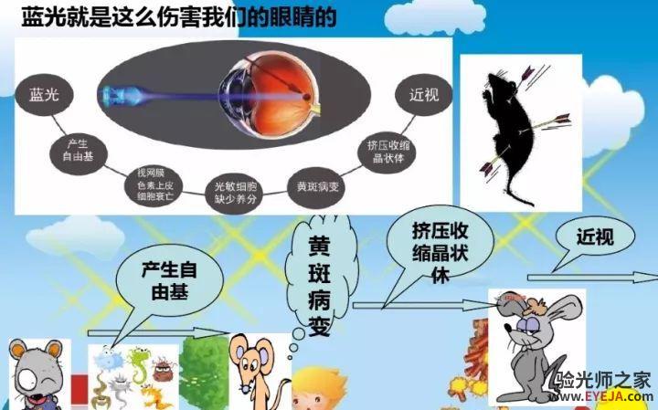 什么是蓝光?蓝光对眼睛的危害? 什么是蓝光?蓝光对眼睛的危害?