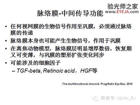 推荐阅读(转载):尖峰眼科课程分享之近视眼发病机理研究 推荐阅读(转载):尖峰眼科课程分享之近视眼发病机理研究