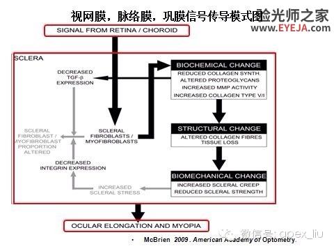 推荐阅读(转载):尖峰眼科课程分享之近视眼发病机理研究 推荐阅读(转载):尖峰眼科课程分享之近视眼发病机理研究