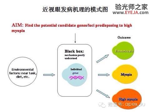推荐阅读(转载):尖峰眼科课程分享之近视眼发病机理研究 推荐阅读(转载):尖峰眼科课程分享之近视眼发病机理研究