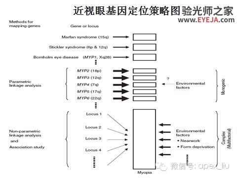 推荐阅读(转载):尖峰眼科课程分享之近视眼发病机理研究 推荐阅读(转载):尖峰眼科课程分享之近视眼发病机理研究