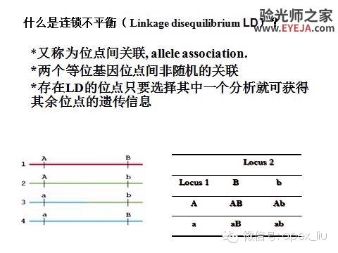 推荐阅读(转载):尖峰眼科课程分享之近视眼发病机理研究 推荐阅读(转载):尖峰眼科课程分享之近视眼发病机理研究