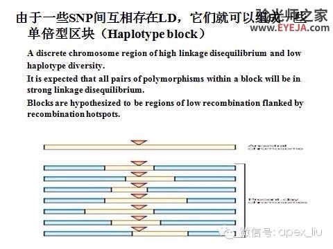 推荐阅读(转载):尖峰眼科课程分享之近视眼发病机理研究 推荐阅读(转载):尖峰眼科课程分享之近视眼发病机理研究