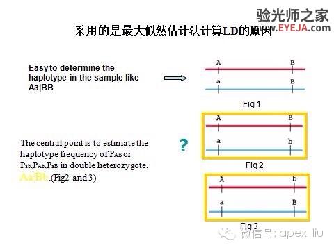 推荐阅读(转载):尖峰眼科课程分享之近视眼发病机理研究 推荐阅读(转载):尖峰眼科课程分享之近视眼发病机理研究