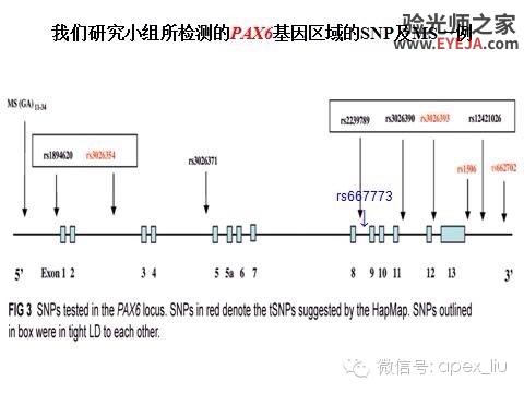 推荐阅读(转载):尖峰眼科课程分享之近视眼发病机理研究 推荐阅读(转载):尖峰眼科课程分享之近视眼发病机理研究