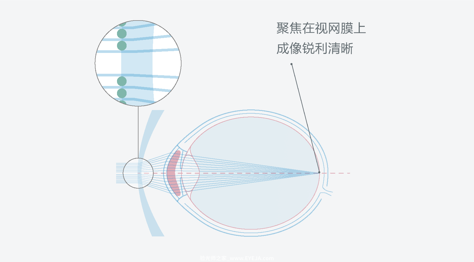 依视路-星趣控 镜片介绍 依视路-星趣控 镜片介绍