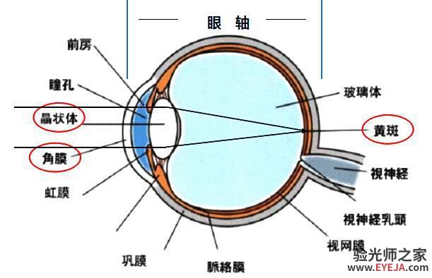 提醒：不近视的预防近视，已经近视的控制近视度数加深，避免成高度近视。