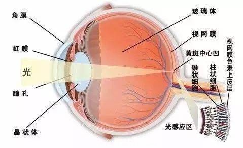 弱视治好了就可以摘掉眼镜吗？