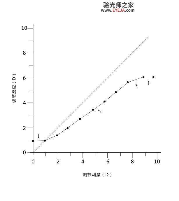 调节反应——调节滞后和调节超前