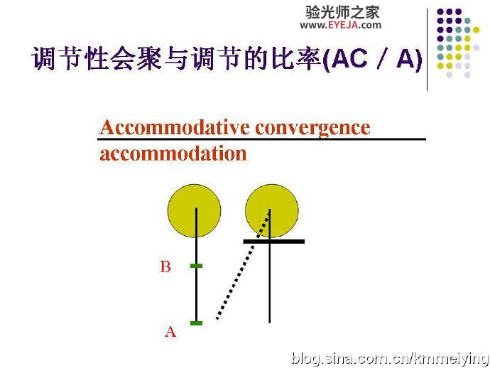 AC/A——调节性集合与调节的比率